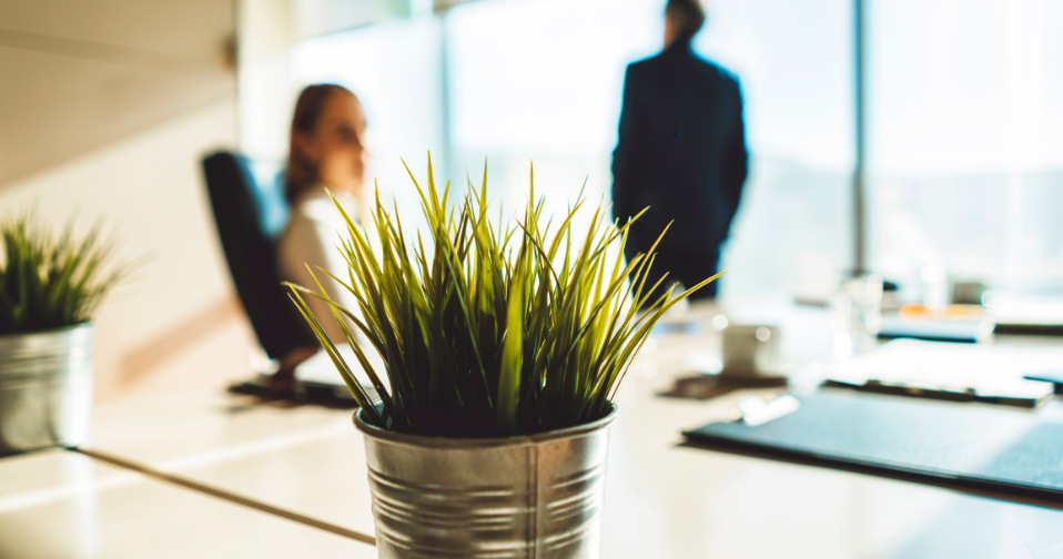 espacios de trabajo para ñla salud